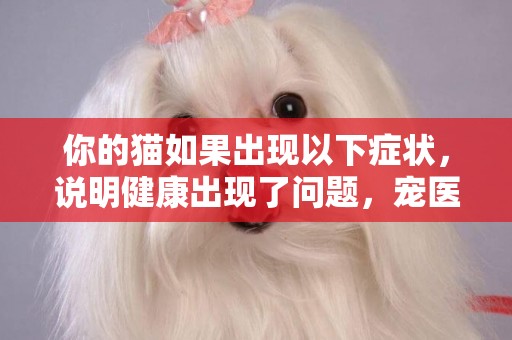 你的貓如果出現以下癥狀，說明健康出現了問題，寵醫：貓糧出問題