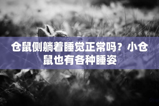 倉鼠側躺著睡覺正常嗎？小倉鼠也有各種睡姿