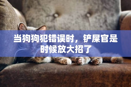 當狗狗犯錯誤時，鏟屎官是時候放大招了