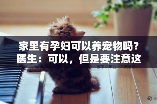 家里有孕婦可以養寵物嗎？醫生：可以，但是要注意這幾點