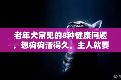 老年犬常見的8種健康問題，想狗狗活得久，主人就要小心這些疾病