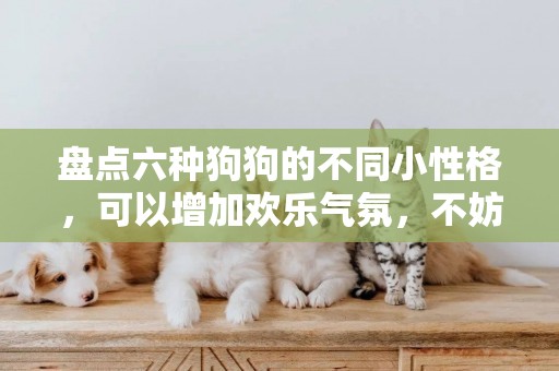 盤點六種狗狗的不同小性格，可以增加歡樂氣氛，不妨養只試試