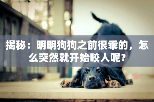 揭秘：明明狗狗之前很乖的，怎么突然就開始咬人呢？