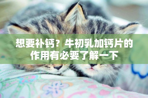 想要補鈣？牛初乳加鈣片的作用有必要了解一下