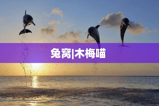 兔窩|木梅喵 