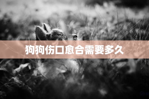 狗狗傷口愈合需要多久