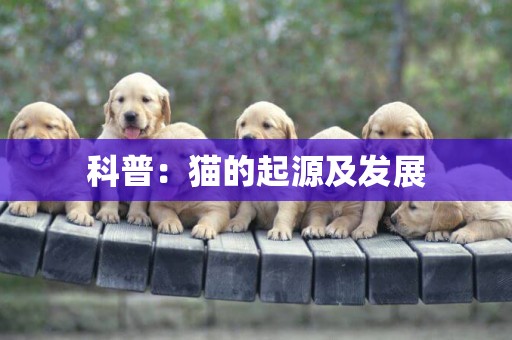 科普：貓的起源及發展