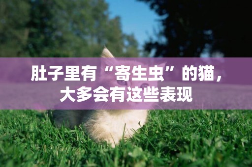 肚子里有“寄生蟲”的貓，大多會有這些表現