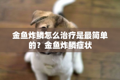 金魚炸鱗怎么治療是最簡單的？金魚炸鱗癥狀