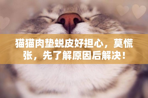 貓貓肉墊蛻皮好擔心，莫慌張，先了解原因后解決！