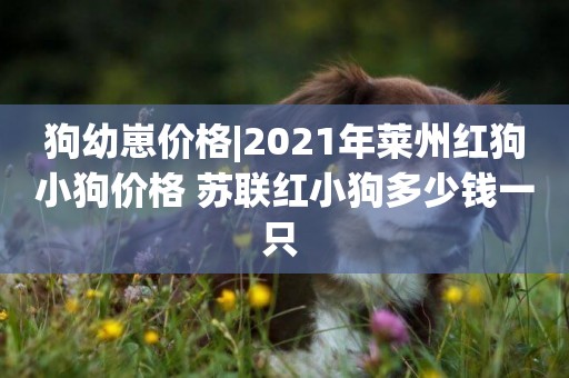 狗幼崽價格|2021年萊州紅狗小狗價格 蘇聯紅小狗多少錢一只 