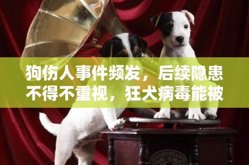 狗傷人事件頻發，后續隱患不得不重視，狂犬病毒能被提前檢測嗎？