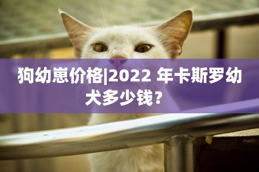狗幼崽價格|2022 年卡斯羅幼犬多少錢？ 