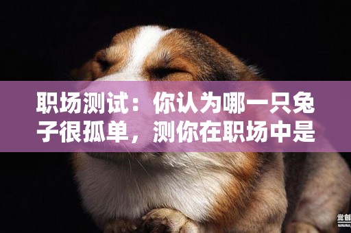 職場測試：你認為哪一只兔子很孤單，測你在職場中是什么“動物”