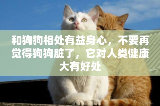 和狗狗相處有益身心，不要再覺得狗狗臟了，它對人類健康大有好處