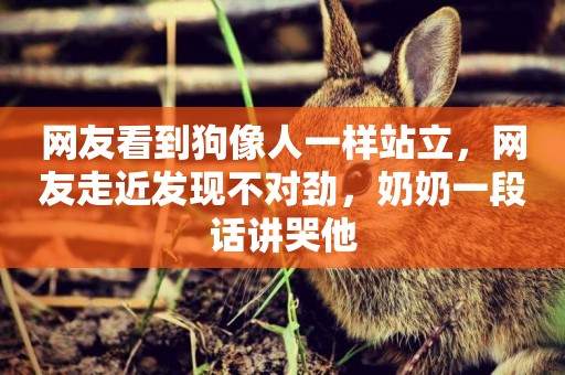 網友看到狗像人一樣站立，網友走近發現不對勁，奶奶一段話講哭他