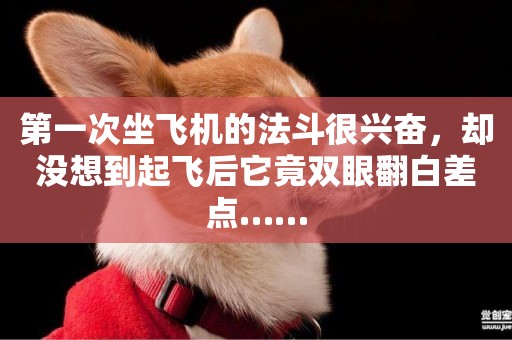 第一次坐飛機的法斗很興奮，卻沒想到起飛后它竟雙眼翻白差點……