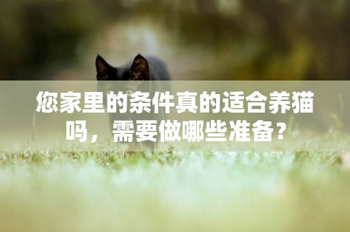 您家里的條件真的適合養貓嗎，需要做哪些準備？