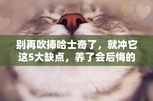 別再吹捧哈士奇了，就沖它這5大缺點，養了會后悔的！
