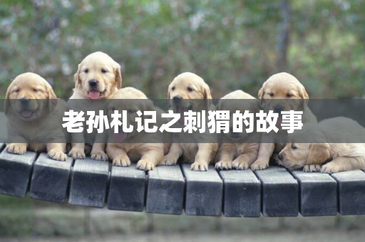 老孫札記之刺猬的故事