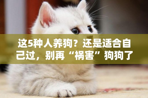 這5種人養狗？還是適合自己過，別再“禍害”狗狗了！