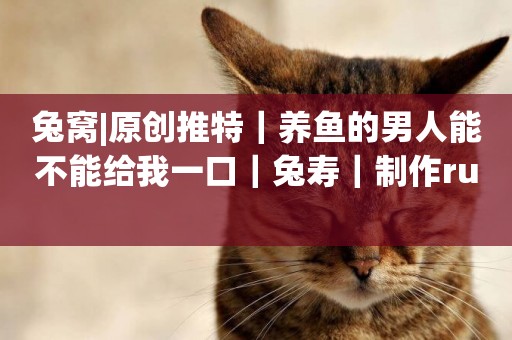 兔窩|原創推特｜養魚的男人能不能給我一口｜兔壽｜制作ru 