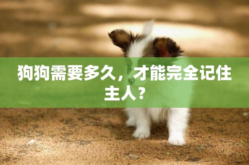 狗狗需要多久，才能完全記住主人？