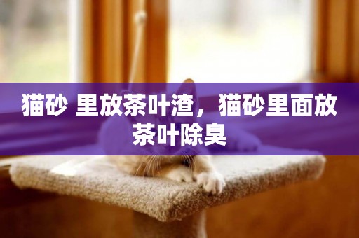 貓砂 里放茶葉渣，貓砂里面放茶葉除臭