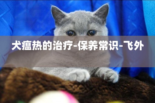 犬瘟熱的治療-保養常識-飛外 