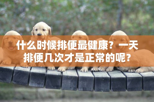 什么時候排便最健康？一天排便幾次才是正常的呢？