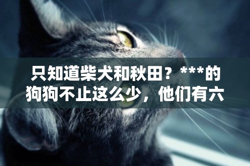 只知道柴犬和秋田？***的狗狗不止這么少，他們有六大天然紀念物