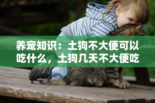 養寵知識：土狗不大便可以吃什么，土狗幾天不大便吃什么
