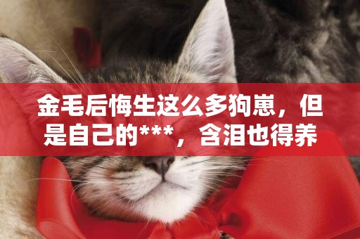 金毛后悔生這么多狗崽，但是自己的***，含淚也得養下去