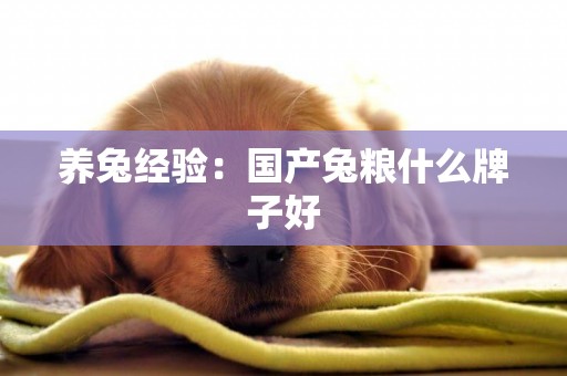 養兔經驗：國產兔糧什么牌子好