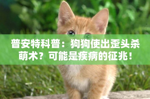 普安特科普：狗狗使出歪頭殺萌術？可能是疾病的征兆！