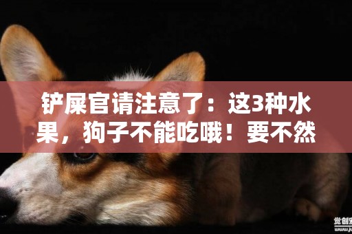 鏟屎官請注意了：這3種水果，狗子不能吃哦！要不然悔青腸子