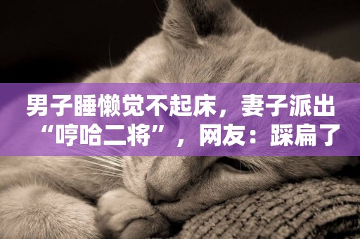 男子睡懶覺不起床，妻子派出“哼哈二將”，網友：踩扁了
