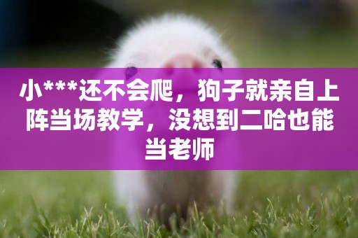 小***還不會爬，狗子就親自上陣當場教學，沒想到二哈也能當老師