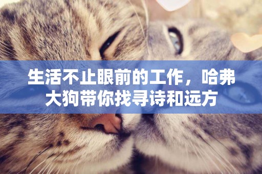生活不止眼前的工作，哈弗大狗帶你找尋詩和遠方