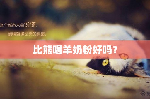 比熊喝羊奶粉好嗎？
