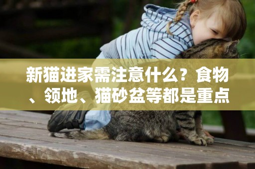新貓進家需注意什么？食物、領地、貓砂盆等都是重點