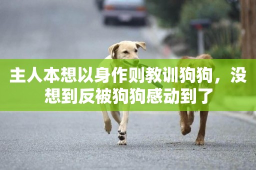 主人本想以身作則教訓狗狗，沒想到反被狗狗感動到了