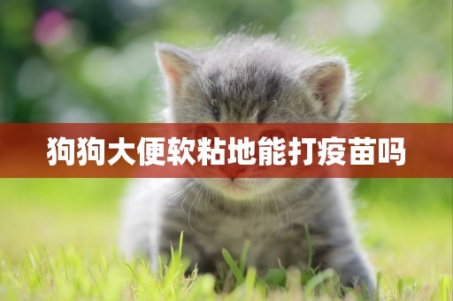 狗狗大便軟粘地能打疫苗嗎
