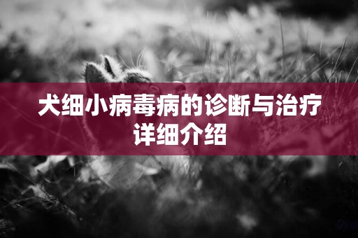犬細小病毒病的診斷與治療詳細介紹