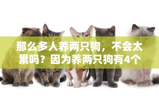 那么多人養兩只狗，不會太累嗎？因為養兩只狗有4個好處