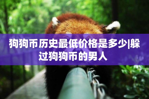 狗狗幣歷史最低價格是多少|躲過狗狗幣的男人 