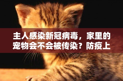 主人感染新冠病毒，家里的寵物會不會被傳染？防疫上要注意什么？