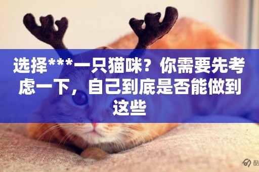 選擇***一只貓咪？你需要先考慮一下，自己到底是否能做到這些