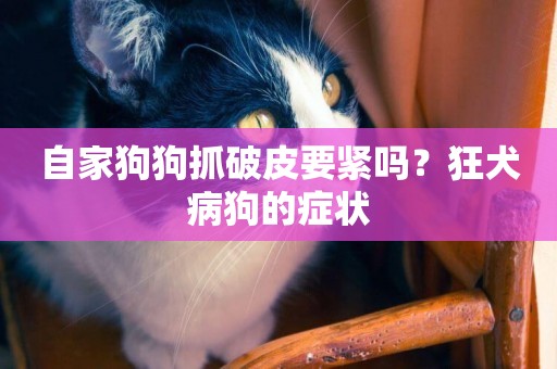 自家狗狗抓破皮要緊嗎？狂犬病狗的癥狀