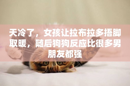 天冷了，女孩讓拉布拉多捂腳取暖，隨后狗狗反應比很多男朋友都強